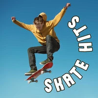 Skate Hits
