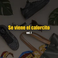 Se viene el calorcito vol. I