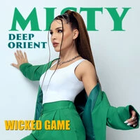 Wicked Game (Cover)