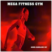 Mega Fitness Gym