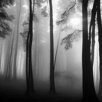 ENJOY THE SILENCE