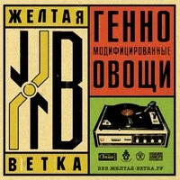 Генномодифицированные овощи