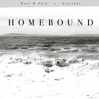Homebound