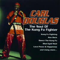 The Soul of the Kung Fu Fighter