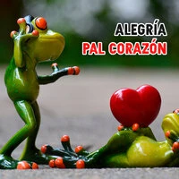 Alegría Pal Corazón