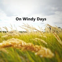 On Windy Days