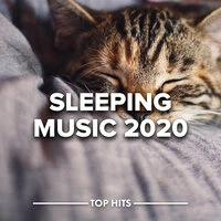 Sleeping Music 2020
