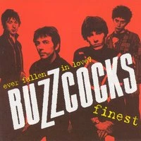 Ever Fallen In Love? Buzzcocks Finest