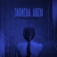 Заплела косы