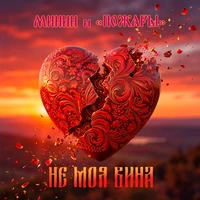 Не моя вина