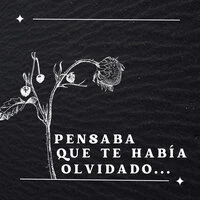Pensaba Que Te Había Olvidado