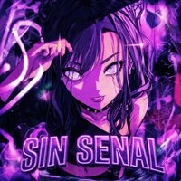 SIN SENAL