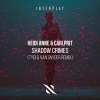 Shadow Crimes