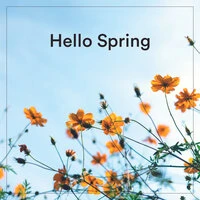 Hello Spring