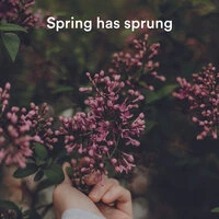 Spring has sprung