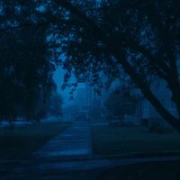 dream fragments