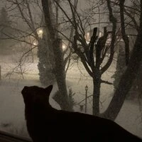 warm evening