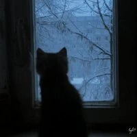 The First Snowfall