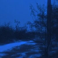 drowned in mist