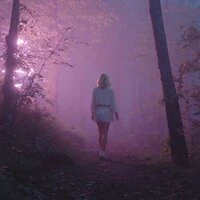 Whispers in the Mist