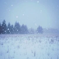 Hello, Winter!