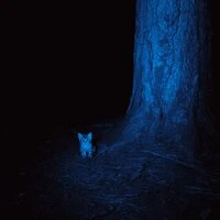 lonely