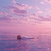 Velvet Sea