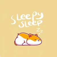 Sleepy Sleep
