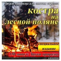 Звуки природы для снятия стресса: костра на лесной поляне: специальное издание