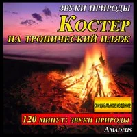 Костер на тропический пляж: звуки природы: специальное издание