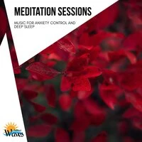 Meditation Sessions - Music for Anxiety Control and Deep Sleep