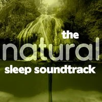 The Natural Sleep Soundtrack