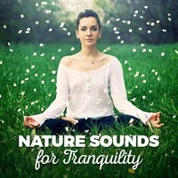 Nature Sounds for Tranquility