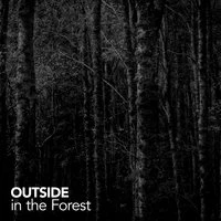 Outside in the Forest