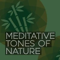 Meditative Tones of Nature