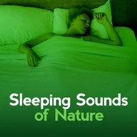 Sleeping Sounds of Nature