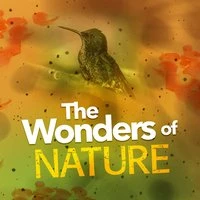 The Wonders of Nature
