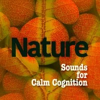 Nature Sounds for Calm Cognition