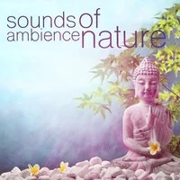 Sounds of Ambience: Nature