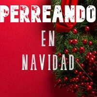 Perreando En Navidad