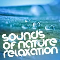 Sounds of Nature Relaxation
