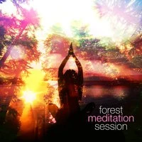 Forest Meditation Session