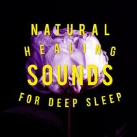 Natural Healing Sounds for Deep Sleep