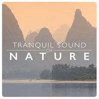 Tranquil Sound of Nature