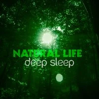 Natural Life: Deep Sleep