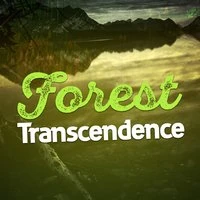 Forest Transcendence