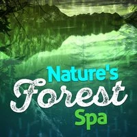 Nature's Forest Spa