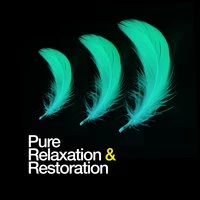 Pure Relaxation & Restoration