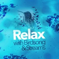 Relax with Birdsong & Streams