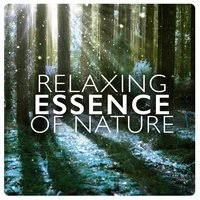 Relaxing Essence of Nature